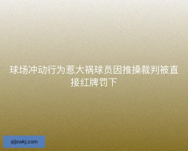 球场冲动行为惹大祸球员因推搡裁判被直接红牌罚下