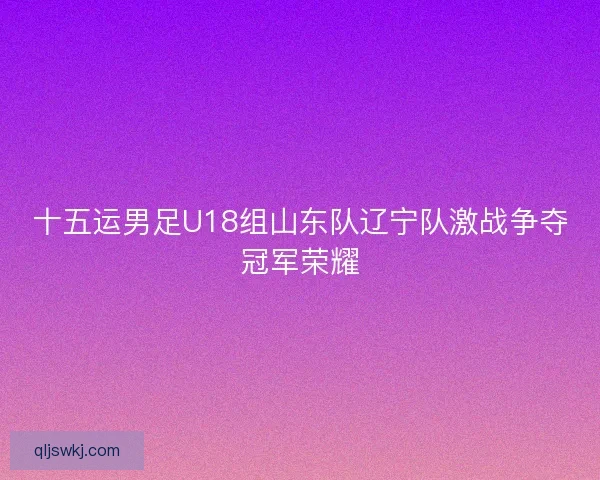十五运男足U18组山东队辽宁队激战争夺冠军荣耀 十五运男足U18组山东队辽宁队激战争夺冠军荣耀
