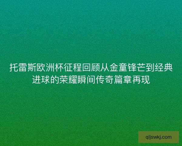 托雷斯欧洲杯征程回顾从金童锋芒到经典进球的荣耀瞬间传奇篇章再现 托雷斯欧洲杯征程回顾从金童锋芒到经典进球的荣耀瞬间传奇篇章再现